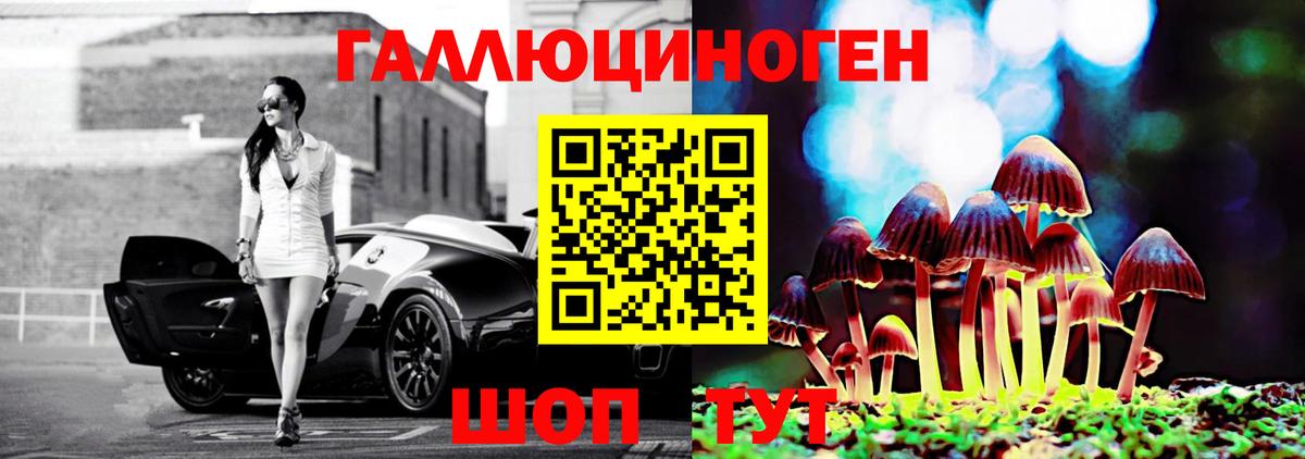Сергиев Посад  Псилоцибиновые грибы Psilocybine cubensis  Галлюциногенные грибы мицелий  Вход с VPN 